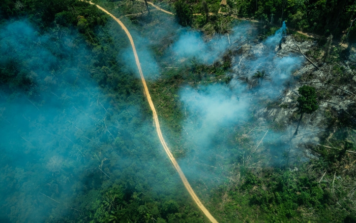 Em escalada, desmatamento abre mais de 500 km de estradas ilegais na bacia do Rio Xingu em 2021