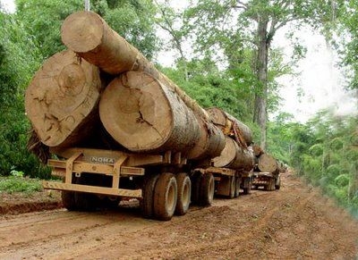 MT responde por 73% da explorao ilegal de madeira da Amaznia em imveis com CAR