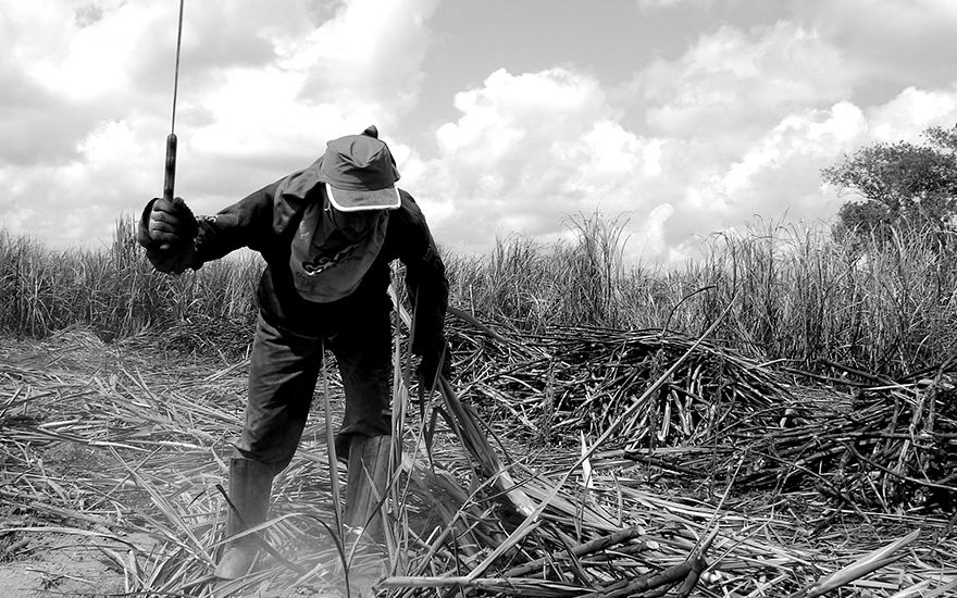 Dois fazendeiros de Mato Grosso esto na lista suja do trabalho escravo