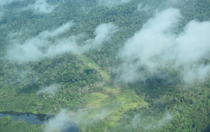 Xingu fecha primeiro semestre com piores taxas de desmatamento em trs anos