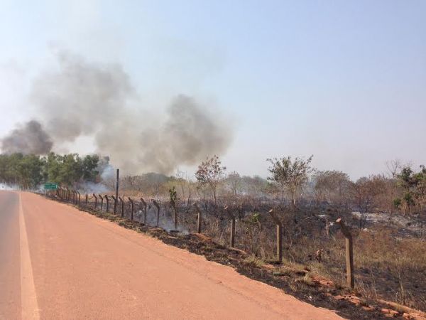 Incndio continua em Parque de Chapada e queimada atinge a estrada