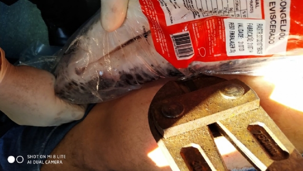 Funcionrio de supermercado fica com ferro de peixe cravado na coxa durante reposio de estoque