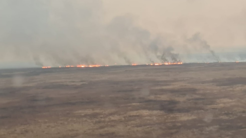 Fogo destri 20 mil hectares de vegetao no Pantanal na fronteira com a Bolvia