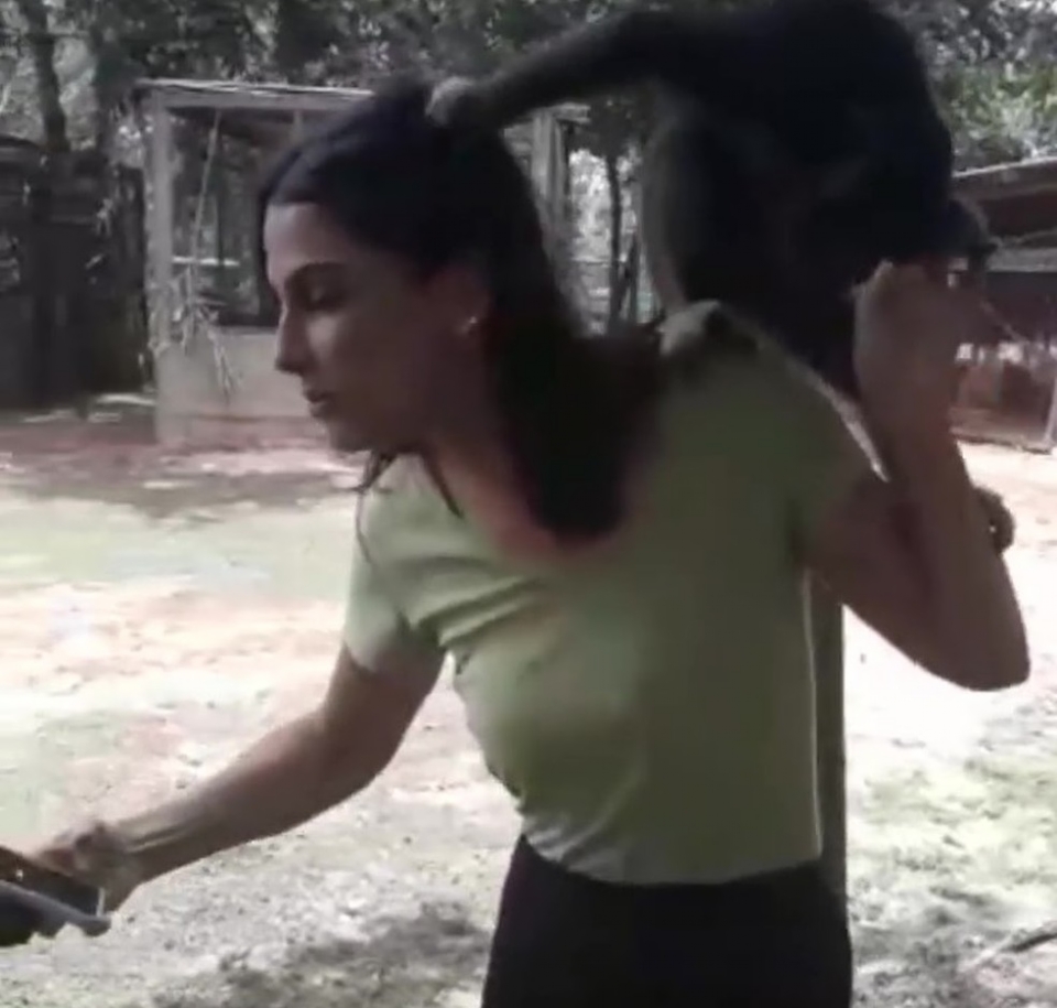 Jornalista  atacada por macaco durante reportagem no Pantanal;  veja vdeo 
