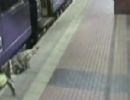 Vdeo mostra mulher bbada caindo nos trilhos do metr em Londres
