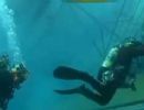 Corpo de mulher  encontrado em parte submersa do navio Costa Concrdia, na Itlia