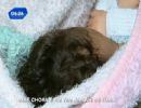 Choro de beb causa ataque de fria em pai bbado