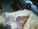 Beb de dez dias  encontrado no lixo em Taboo da Serra