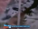Crueldade: mulher espanca cadela com barra de ferro