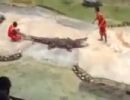 Crocodilo morde cabea do adestrador em apresentao