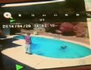 Pai  preso aps jogar filha de dois anos na piscina